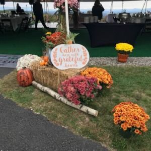 Meet your Posher, Anne